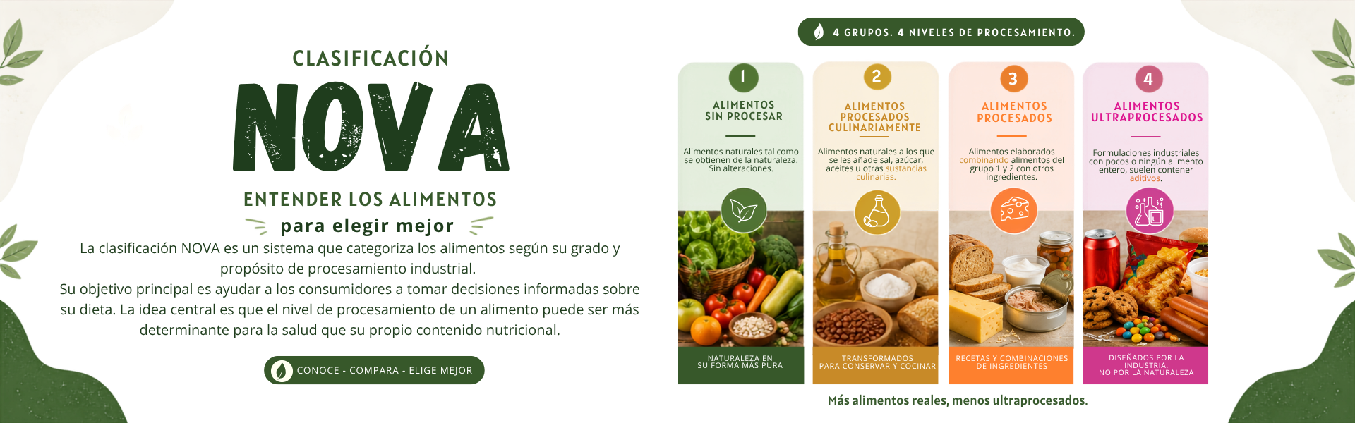 Clasificación NOVA sistema que categoriza los alimentos según su procesamiento